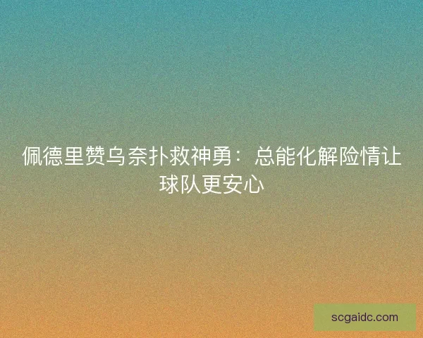 佩德里赞乌奈扑救神勇：总能化解险情让球队更安心