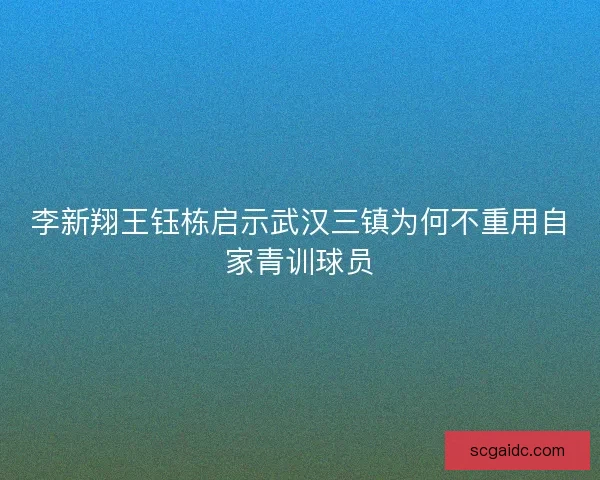 李新翔王钰栋启示武汉三镇为何不重用自家青训球员