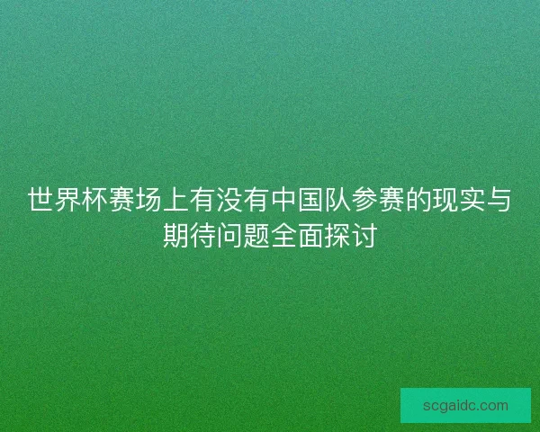 世界杯赛场上有没有中国队参赛的现实与期待问题全面探讨