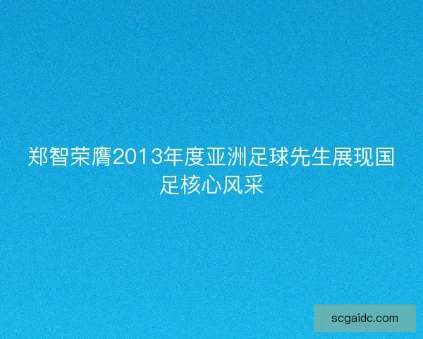 郑智荣膺2013年度亚洲足球先生展现国足核心风采