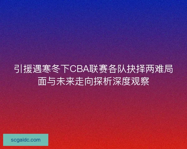 引援遇寒冬下CBA联赛各队抉择两难局面与未来走向探析深度观察